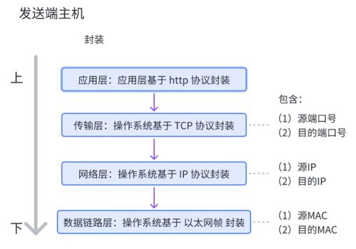 網(wǎng)絡(luò)通信基石 核心設(shè)備、關(guān)鍵技術(shù)及技術(shù)服務(wù)全景解析