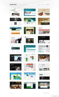 澳大利亞班頓 通過自由網頁設計、品牌定制與優質WordPress解決方案塑造卓越在線形象